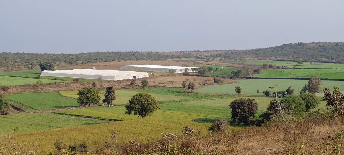 ICON Horticulture Field Work - Polyhouse & Net House Construction